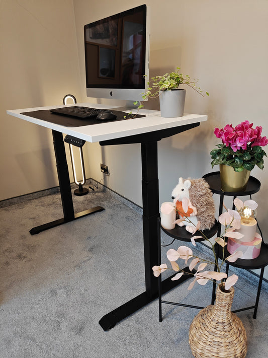 Birou reglabil electric ergoliv Luna Pro