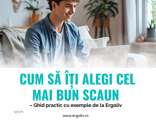 Scaune ergonomice ergoliv, ghid de alegere