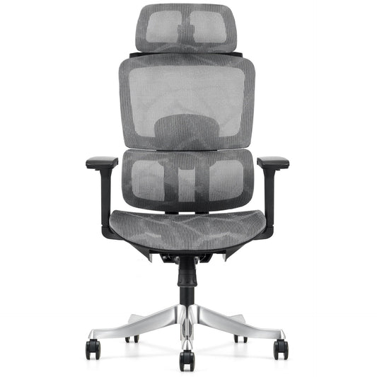 Scaun ergonomic de birou ergoliv cu reglaje complete