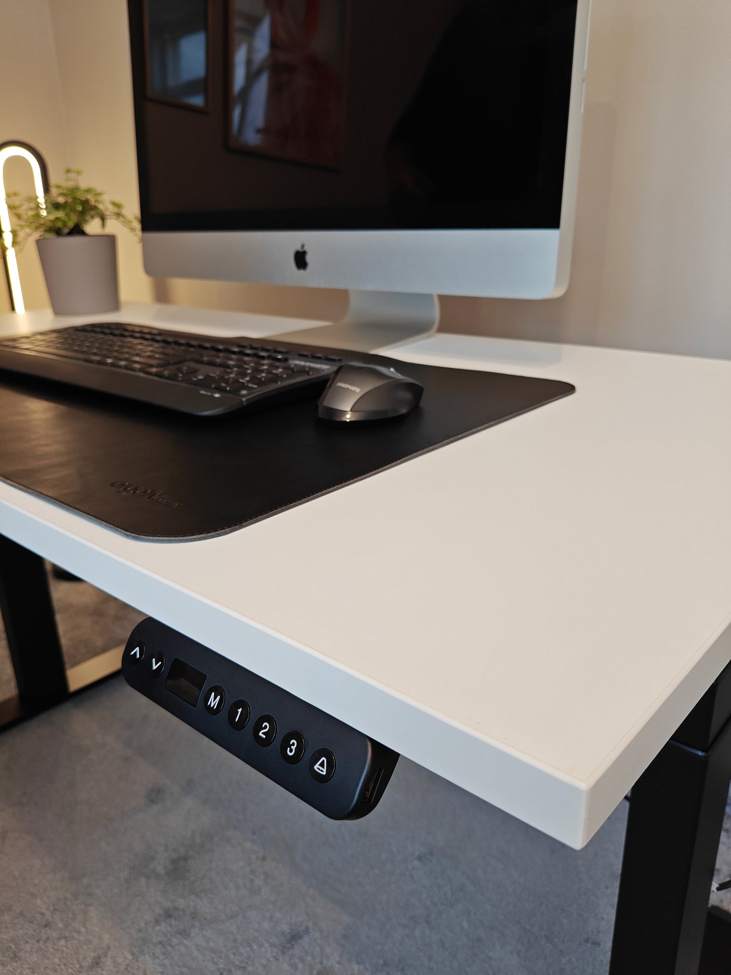 Luna Pro Desk