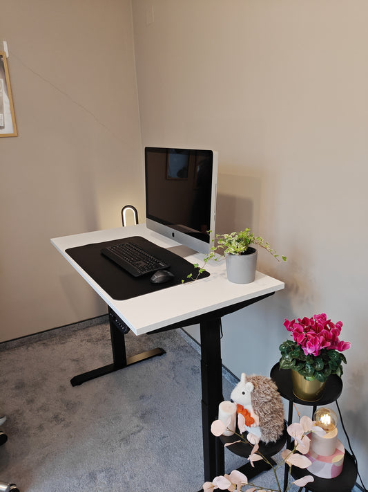 Luna Pro Desk