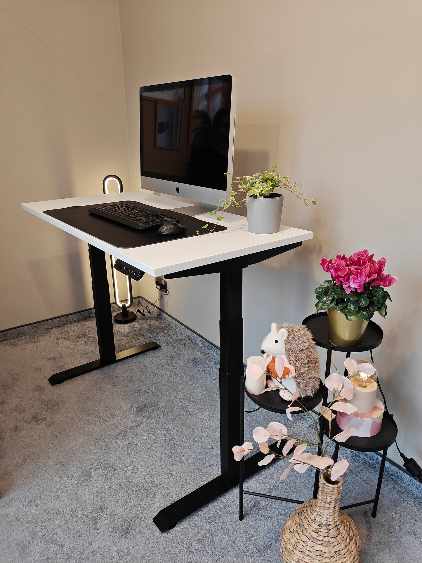 Luna Pro Desk