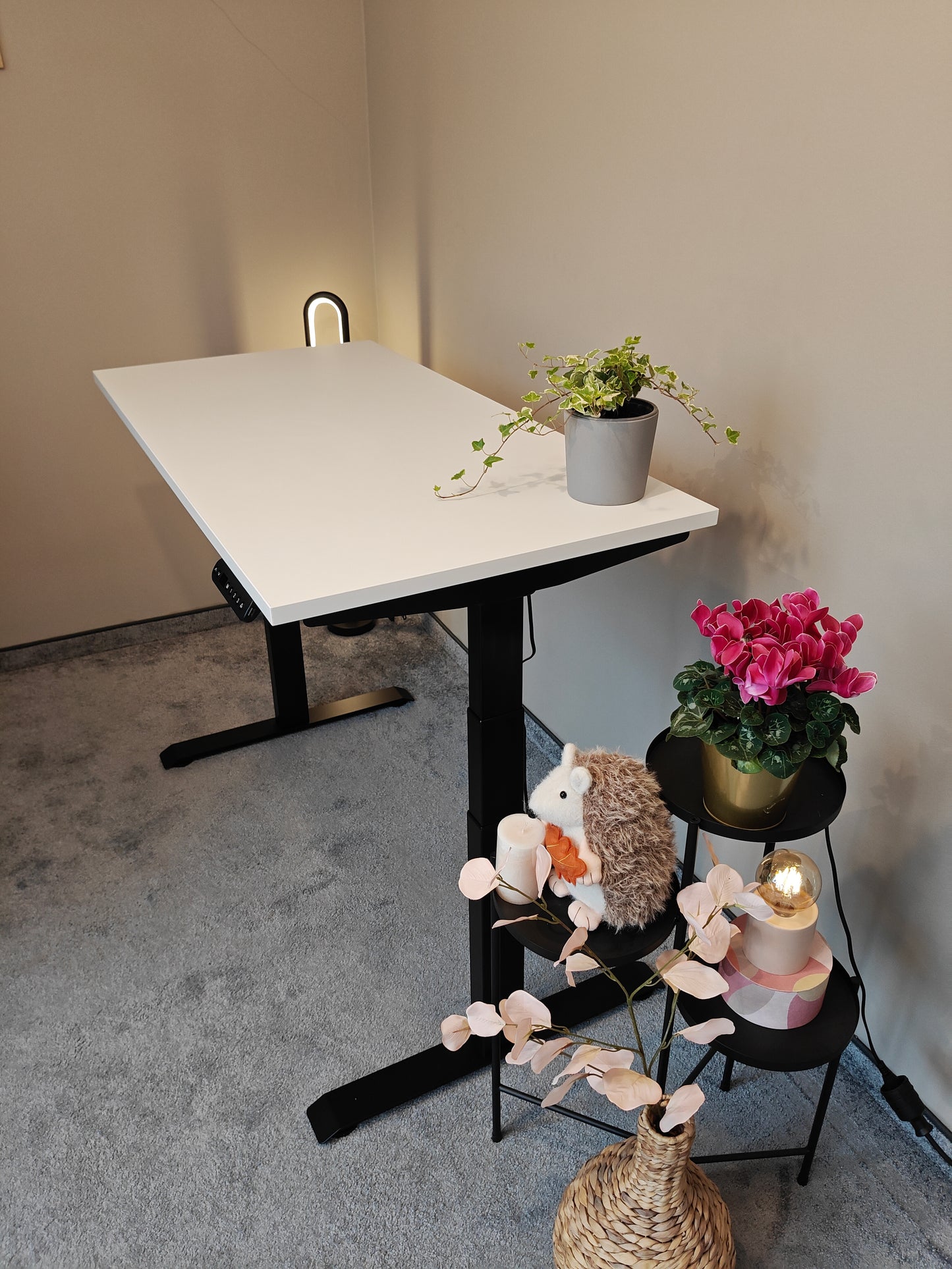 Luna Pro Desk