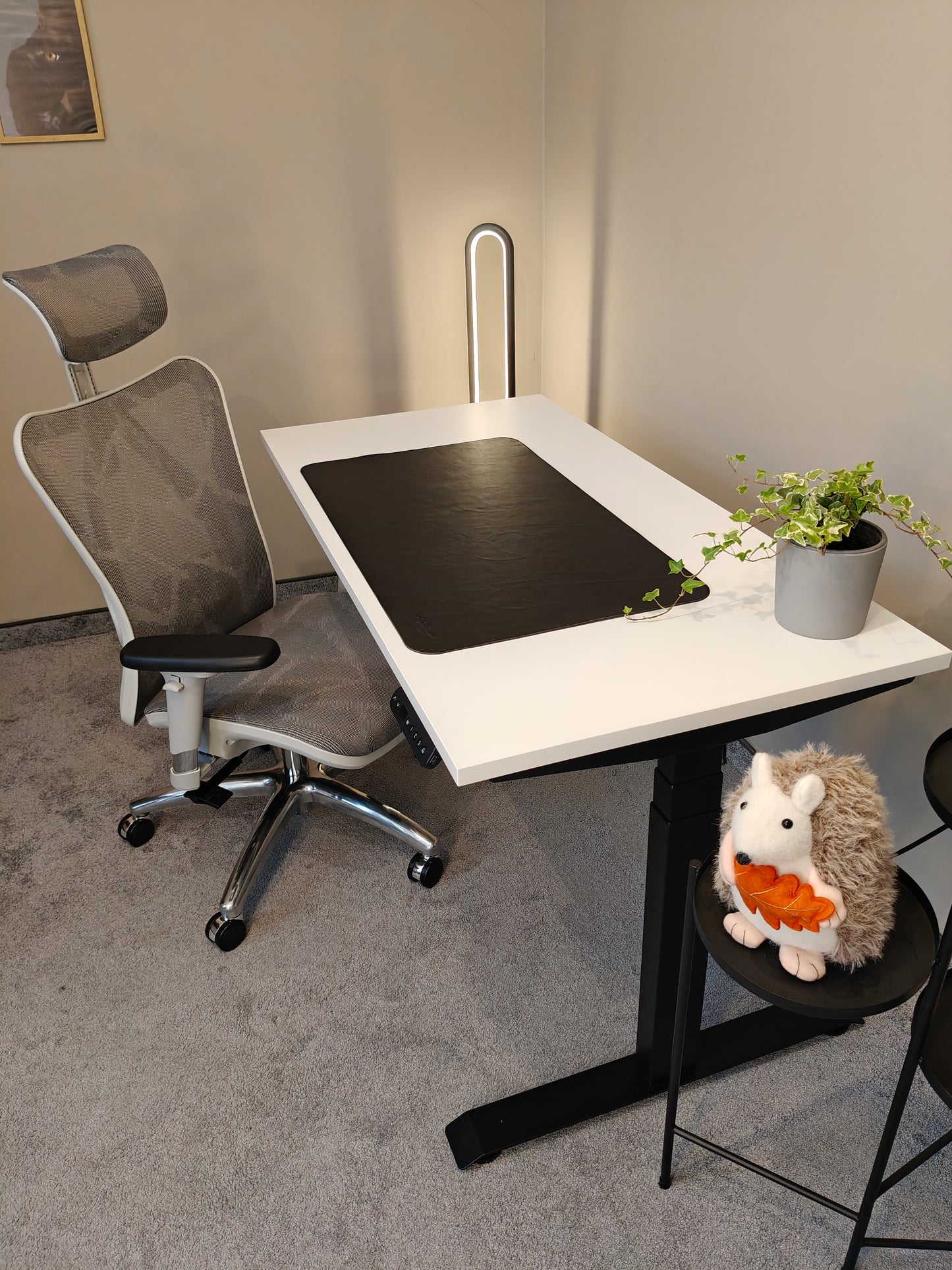 Luna Pro Desk