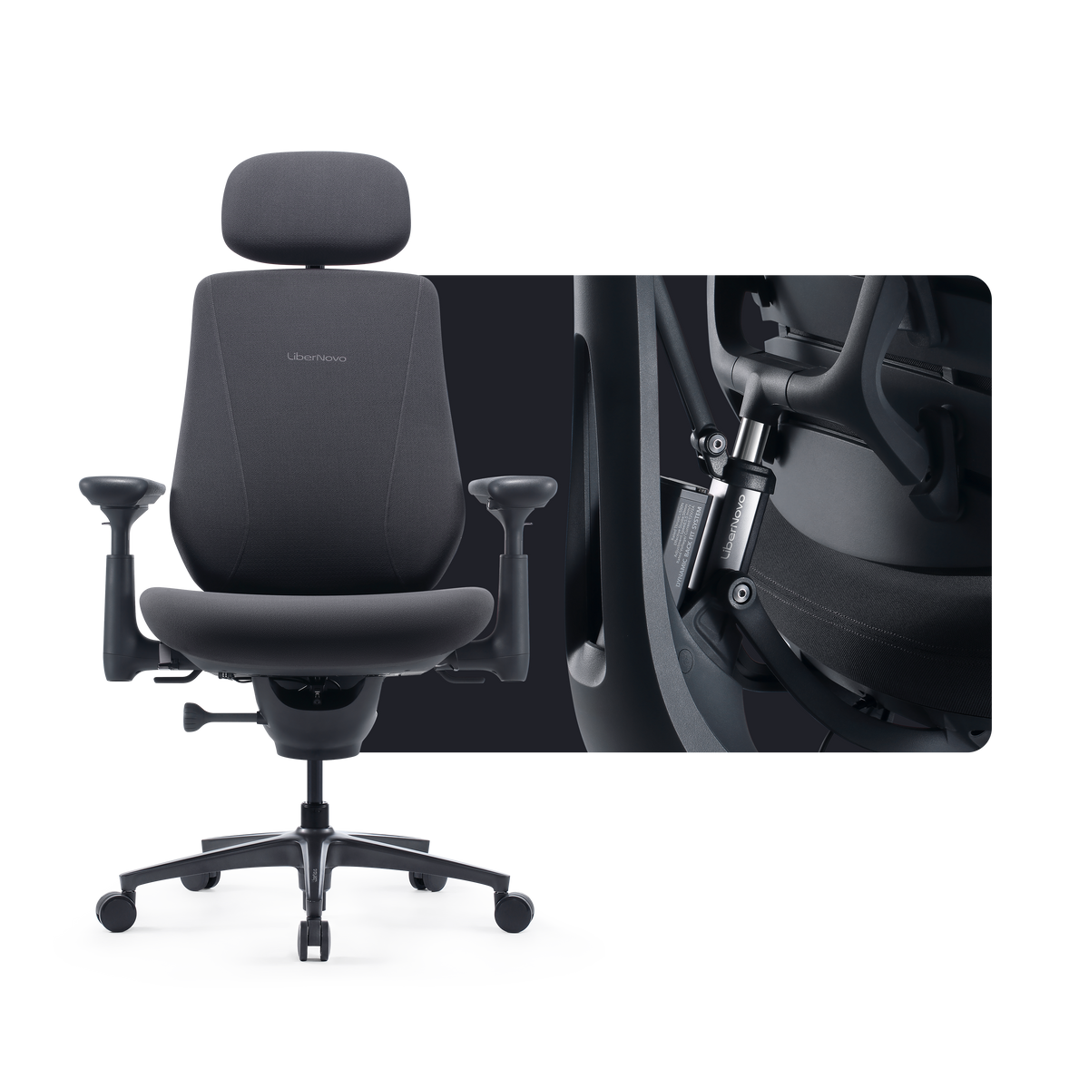 LiberNovo Maxis Electric Graphit